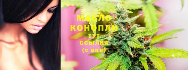 индика Рославль