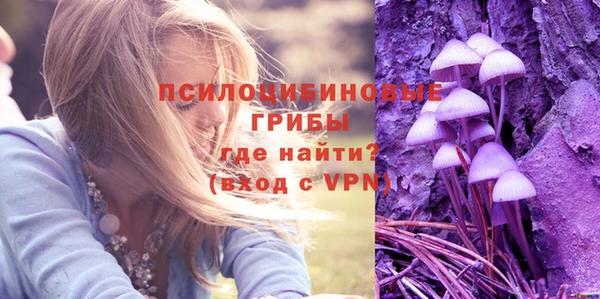 хмурый Алексин