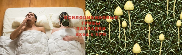 хмурый Алексин
