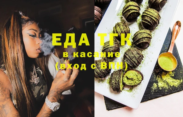 хмурый Алексин