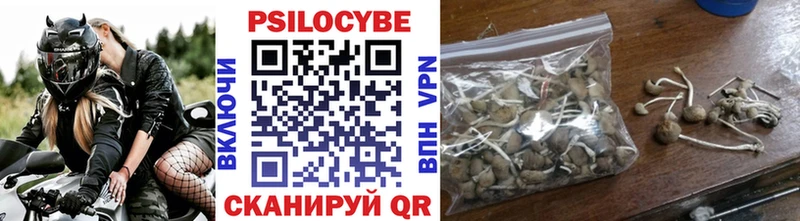 Галлюциногенные грибы прущие грибы  MEGA   Игарка  купить  цена 